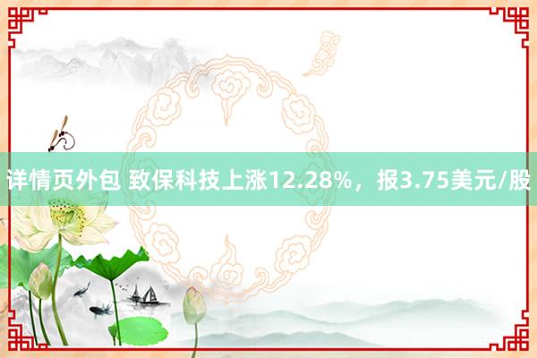 详情页外包 致保科技上涨12.28%，报3.75美元/股