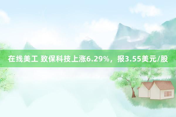 在线美工 致保科技上涨6.29%，报3.55美元/股